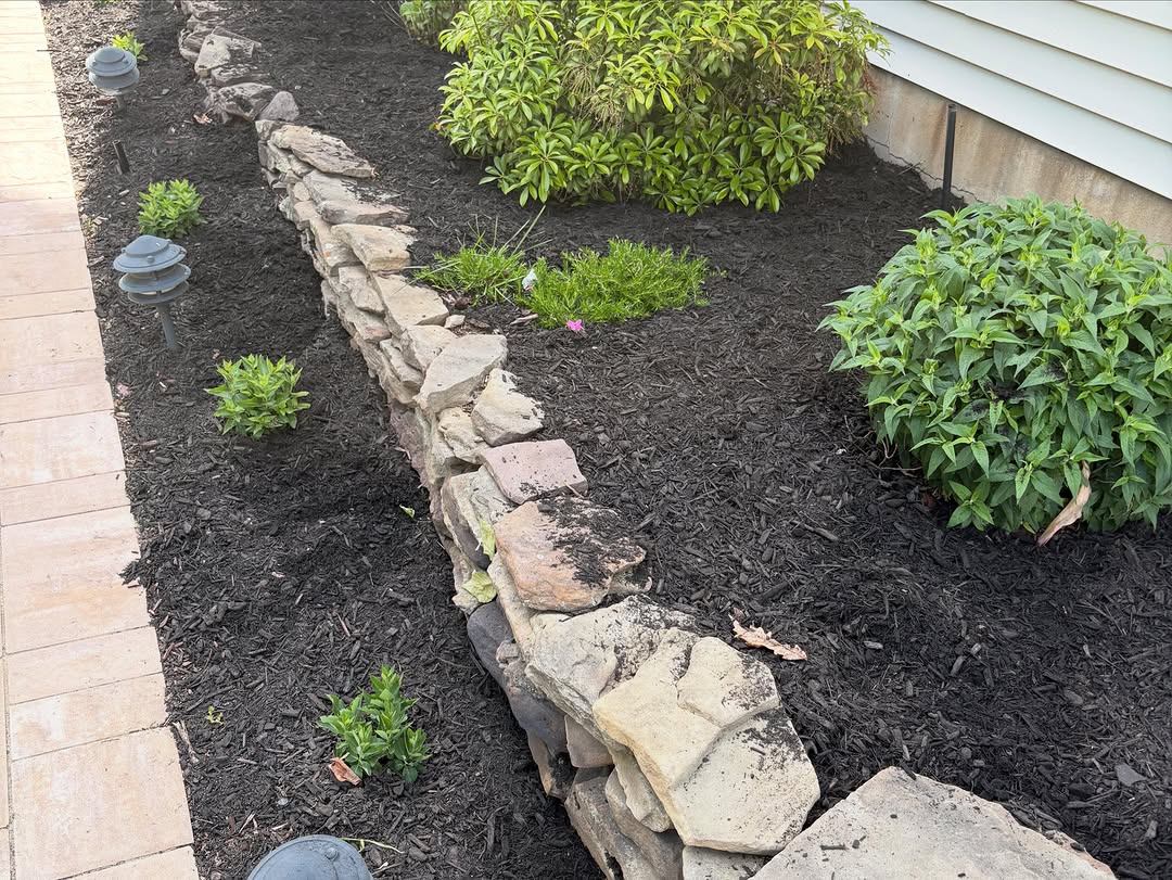 Gardening after photo 4