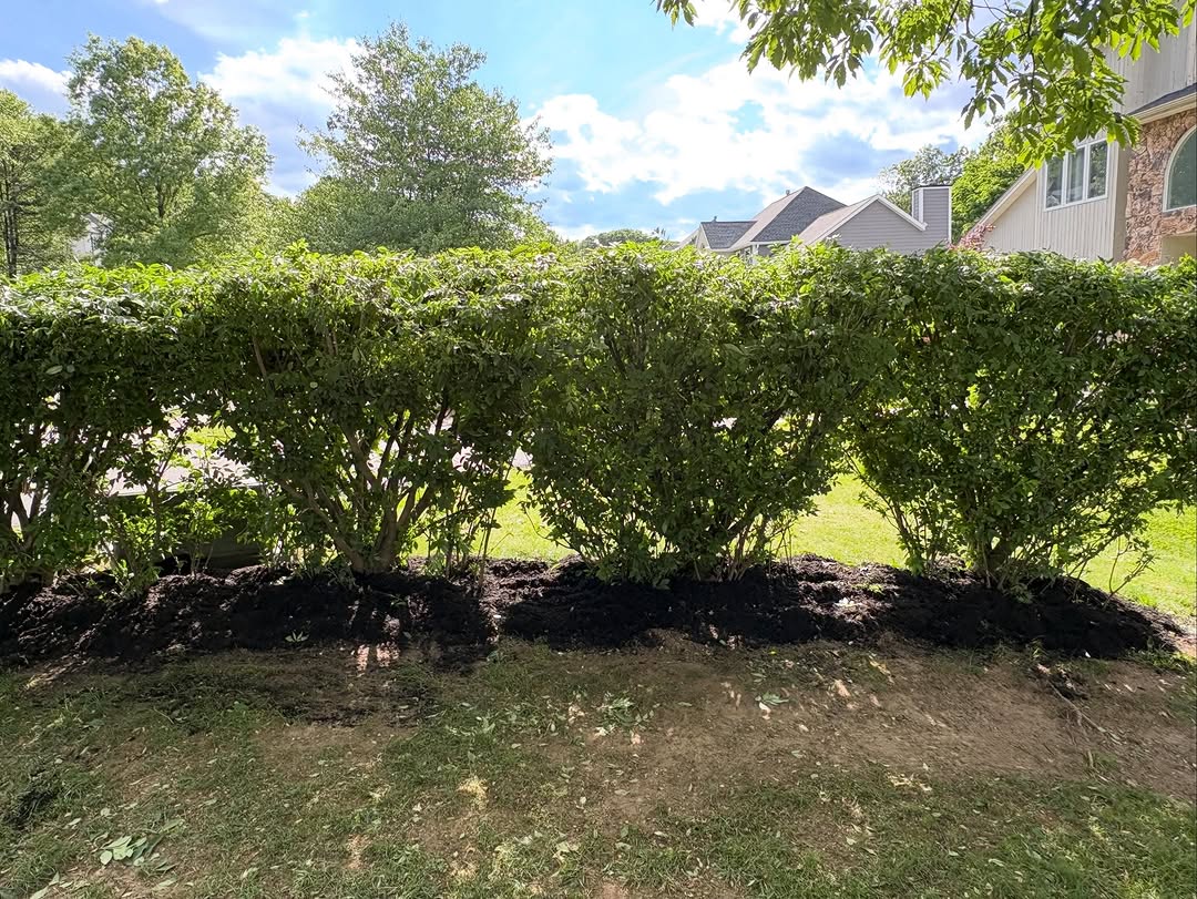 Gardening after photo 5