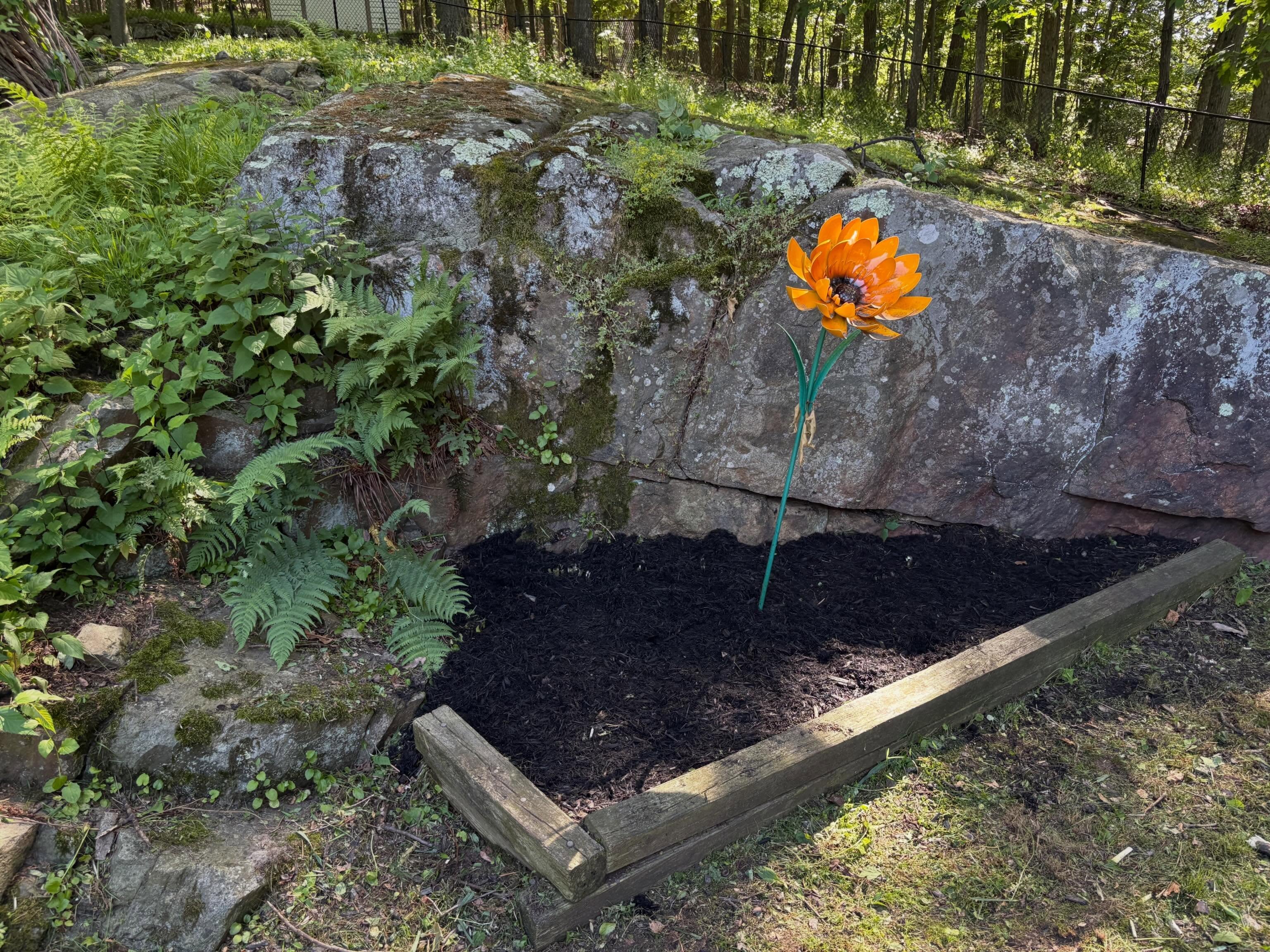 Gardening after photo 5