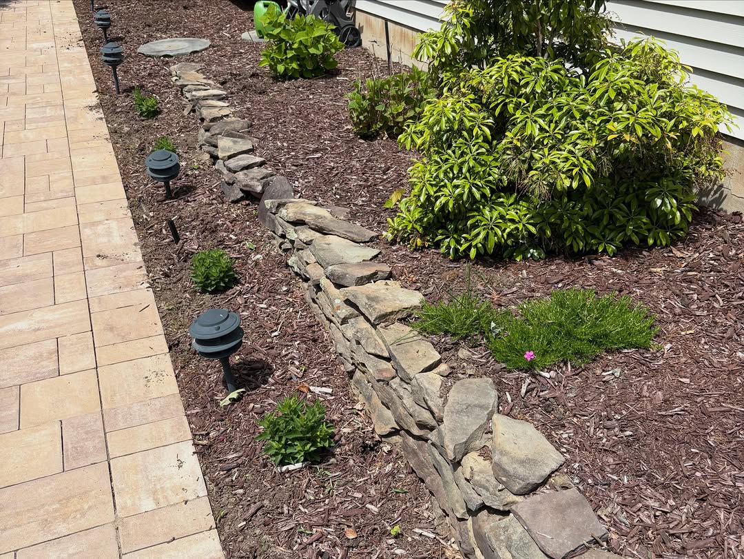 Gardening before photo 4