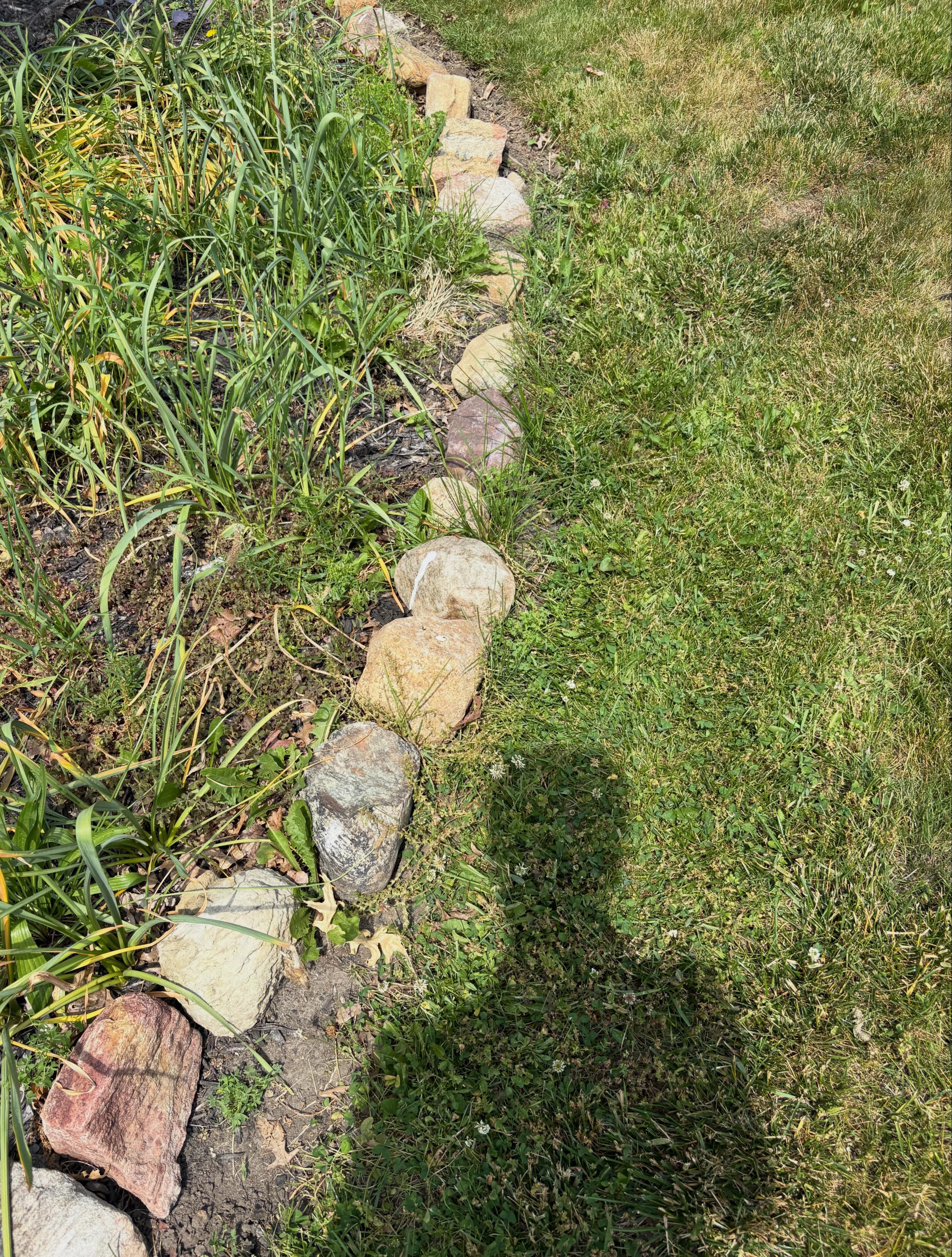 Gardening before photo 5